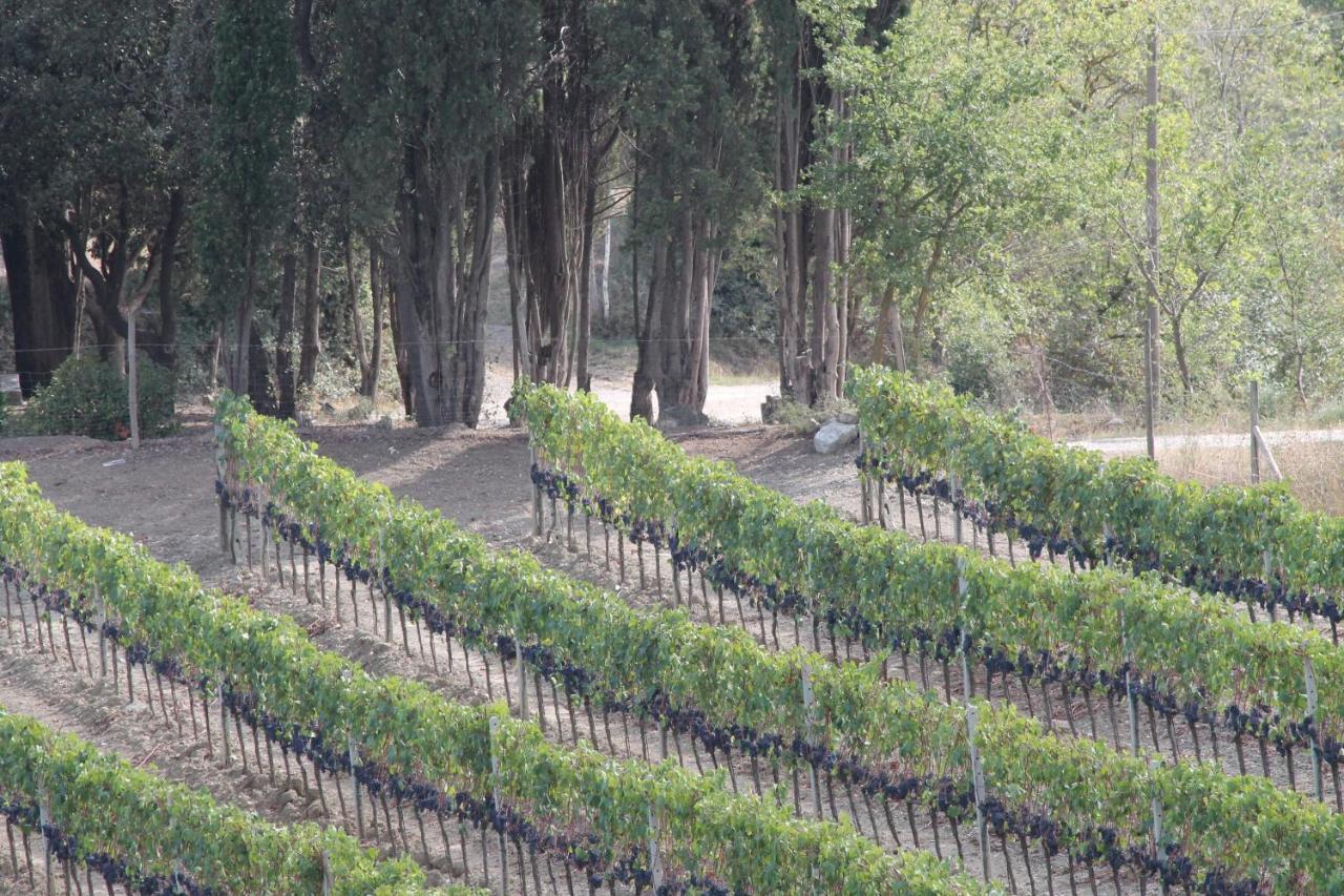 Agriturismo Il Poderuccio Castiglione dʼOrcia Εξωτερικό φωτογραφία