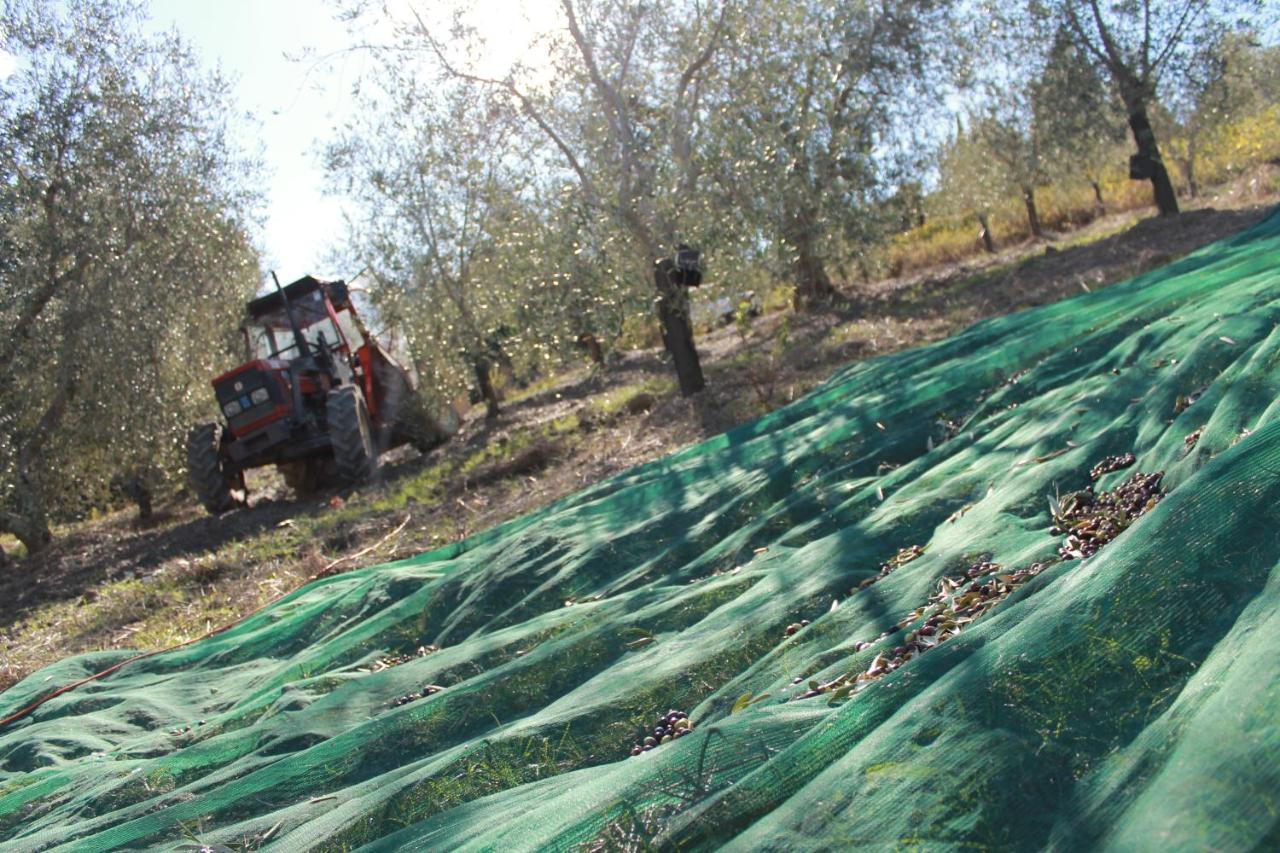 Agriturismo Il Poderuccio Castiglione dʼOrcia Εξωτερικό φωτογραφία